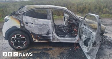 Merthyr Tydfil men rescue nine-month-old baby trapped in burning car