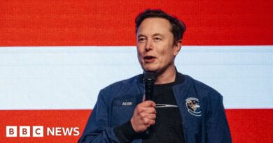 Musk says outcry over X's Grok service is 'excuse for censorship'