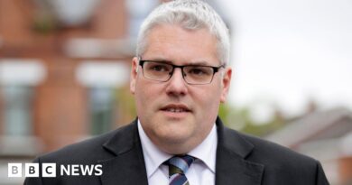 NI Legacy: DUP leader warns London not to surrender over Troubles bill