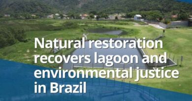 Natural restoration can deliver environmental justice. In Brazil, a lagoon once choked by pollution is being revived through nature-based solutions, community involvement, and environmental education, offering a model for urban ecological recovery