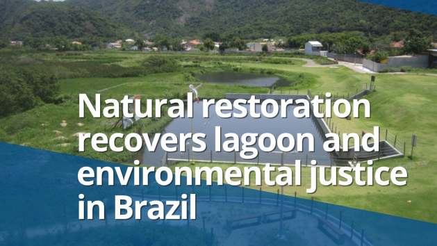 Natural restoration can deliver environmental justice. In Brazil, a lagoon once choked by pollution is being revived through nature-based solutions, community involvement, and environmental education, offering a model for urban ecological recovery