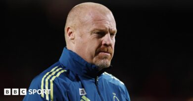 Nottingham Forest manager Sean Dyche