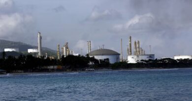 El Palito Refinery with large storage tanks and towers seen from the water, with palm trees lining the shore.