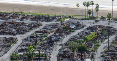 Photos show the Pacific Palisades one year after the Los Angeles wildfires, from empty lots to rebuilt storefronts