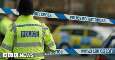 Police officers to be told they must get work licence or face dismissal