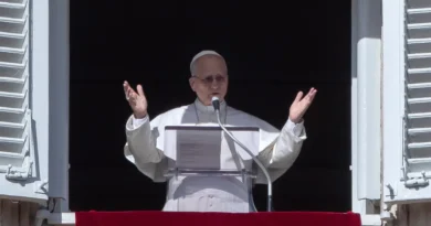 Pope Leo's latest AI warning: 'overly affectionate' chatbots