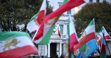 Protester put pre-Islamic revolution Iran flag on London embassy: witnesses