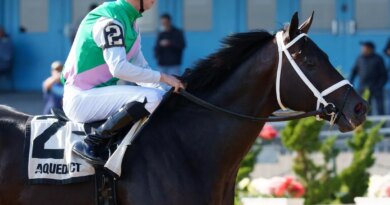 Rainbow Six At Gulfstream Park On PegasusWorld Cup Day Has Promise