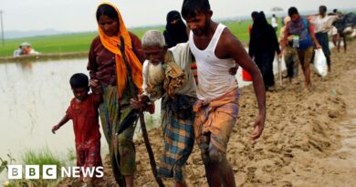 Rohingya genocide case: Myanmar begins defence at ICJ