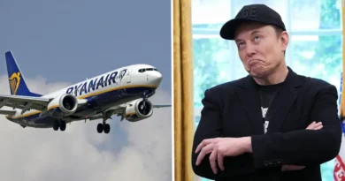 Ryanair launches 'Great Idiots' seat sale 'especially for Elon' as feud escalates