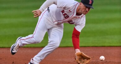 Signing Alex Bregman Makes Chicago Cubs Favorite To Win  NL Central