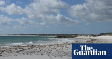 Snorkeller missing in WA as NSW authorities continue search for two lost in rough surf