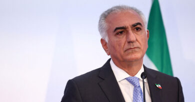 Son of Iran's toppled shah seeks a role as protests expand