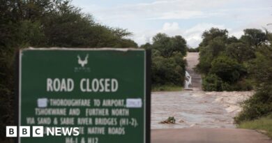 South Africa floods: Kruger National Park shuts to tourists