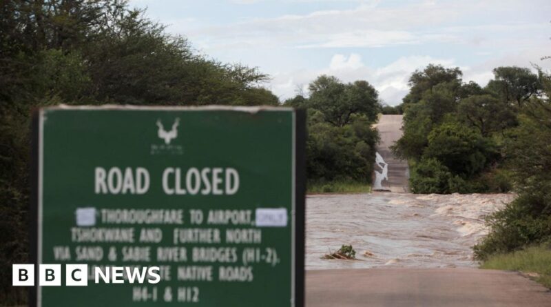 South Africa floods: Kruger National Park shuts to tourists