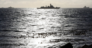 South Africa probes Iran's role in BRICS+ naval drills