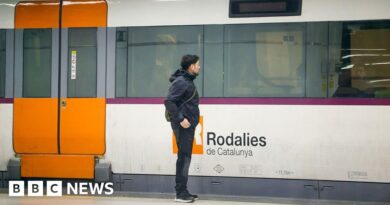 Spain slashes speed limit on popular train route after fault found