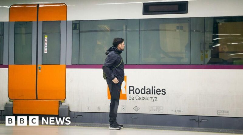 Spain slashes speed limit on popular train route after fault found