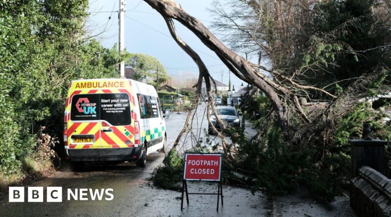 Storm Goretti: Snow and ice warnings cover most of UK as tens of thousands without power