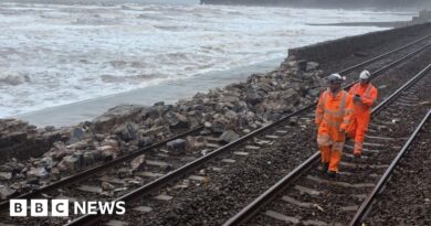 Storm Ingrid damage forces closure of Devon railway line