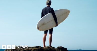 Surfer injured in fourth shark attack in Australian state in 48 hours