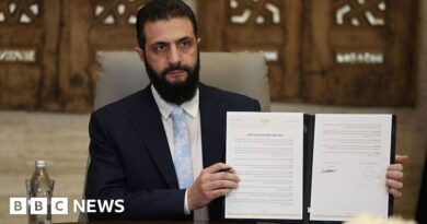 Syria, SDF agree ceasefire and integration deal