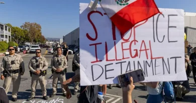 Tech workers want their CEOs to speak out against ICE and cancel contracts