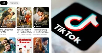 TikTok has quietly launched a new micro drama app called PineDrama as the category picks up steam in the US