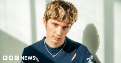 Troye Sivan: Cosmetic surgery doctor sorry for upsetting singer