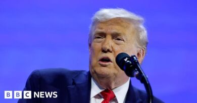 Trump drops threats of tariffs on Nato allies over Greenland