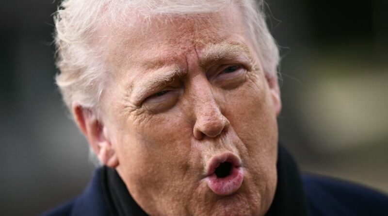 Trump says 'thank you' to Iran for not hanging protesters