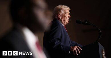 Trump says government will 'de-escalate a little bit' in Minnesota after Pretti shooting