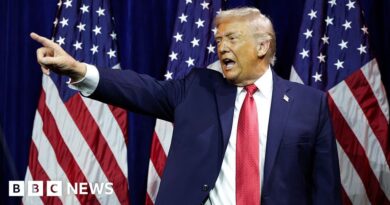 Trump withdraws US from key climate treaty and dozens of other groups