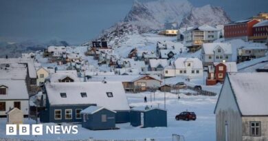 US Congress members visit Denmark as Trump's pressure on Greenland rises