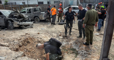 US believes Hamas disarmament comes along with some sort of amnesty, US official says