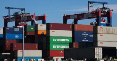 US tariffs are paid almost entirely by Americans, a German study finds