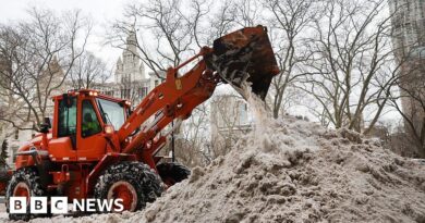 US winter storm leaves deaths, power outages and flight delays