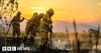 Victoria: Australia firefighters battle 'emergency level' blazes