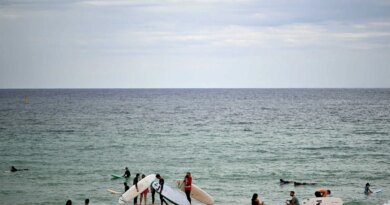 people with surfboards stand on a beach with the ocean behind them.