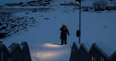 A person stands in the snow beneath a lantern, with a harbor in the distance and a snow-covered staircase in the foreground.