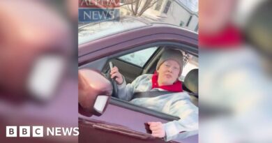 Video filmed by ICE agent who shot Minneapolis woman emerges