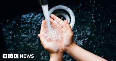 Water companies to face regular MOT-style checks in industry shake-up