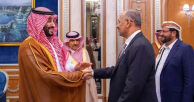 What are Saudi Arabia’s plans in southern Yemen?