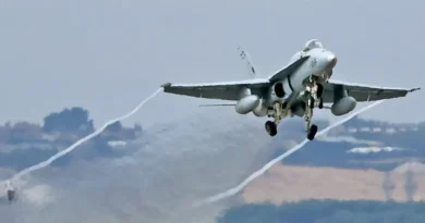 Why this NATO fighter wing says its American-made Hornets work well for front-line air patrols