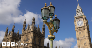 Will 2026 be the year MPs and peers agree how to repair Parliament?