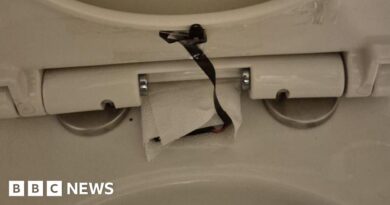 Woman felt 'violated' by webcam in Giggling Squid restaurant toilets