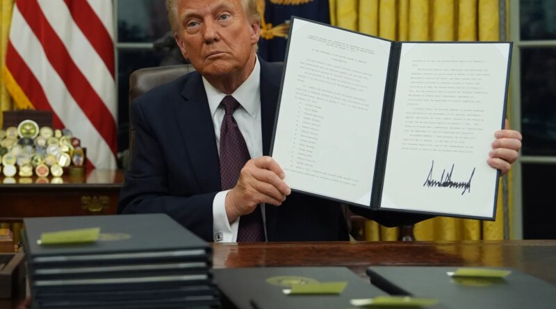 ‘Act fast’: How speed defined the start of Donald Trump’s second term