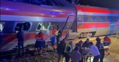 ‘Night of deep pain’: Train collision in southern Spain leaves 21 dead