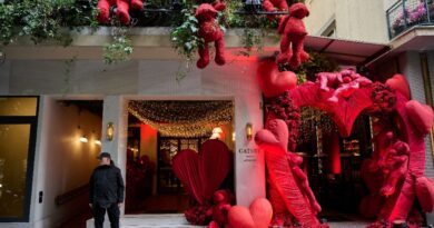 'Tehran' TV series producer Dana Eden found dead in Athens