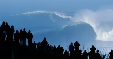 4 founders share how AI's 'Second Wave' promises apps that create entirely new experiences